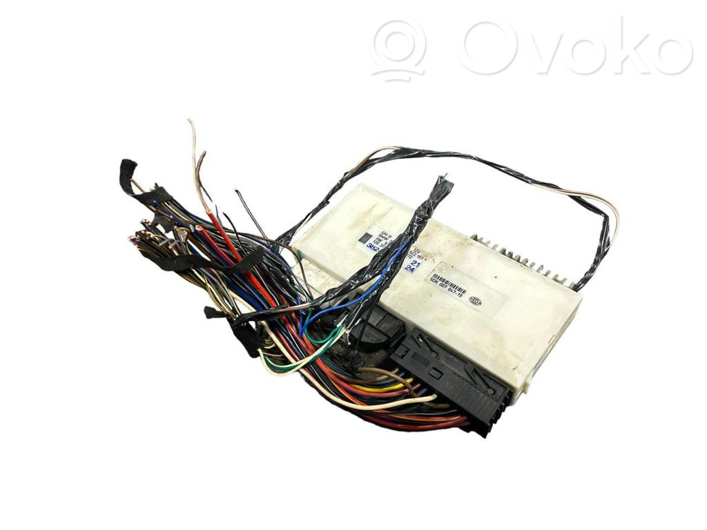 Bagāžnieka dekoratīvā apdare