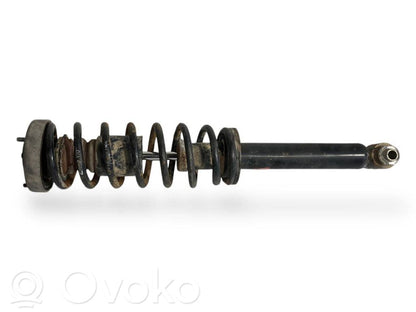 Rear shock absorber with spring
