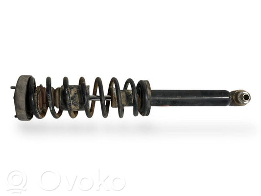 Rear shock absorber with spring