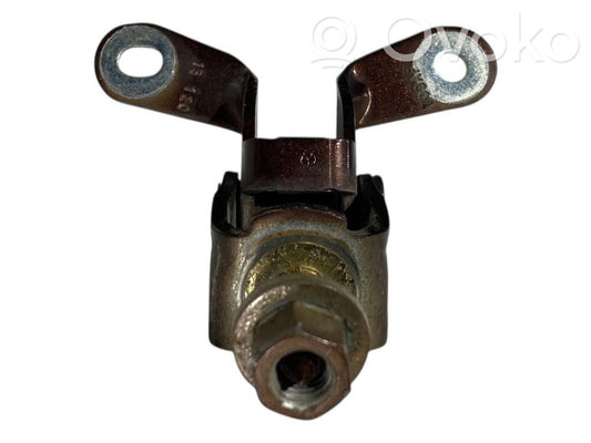 Aizmugurējā pārsega eņģe (-ess)