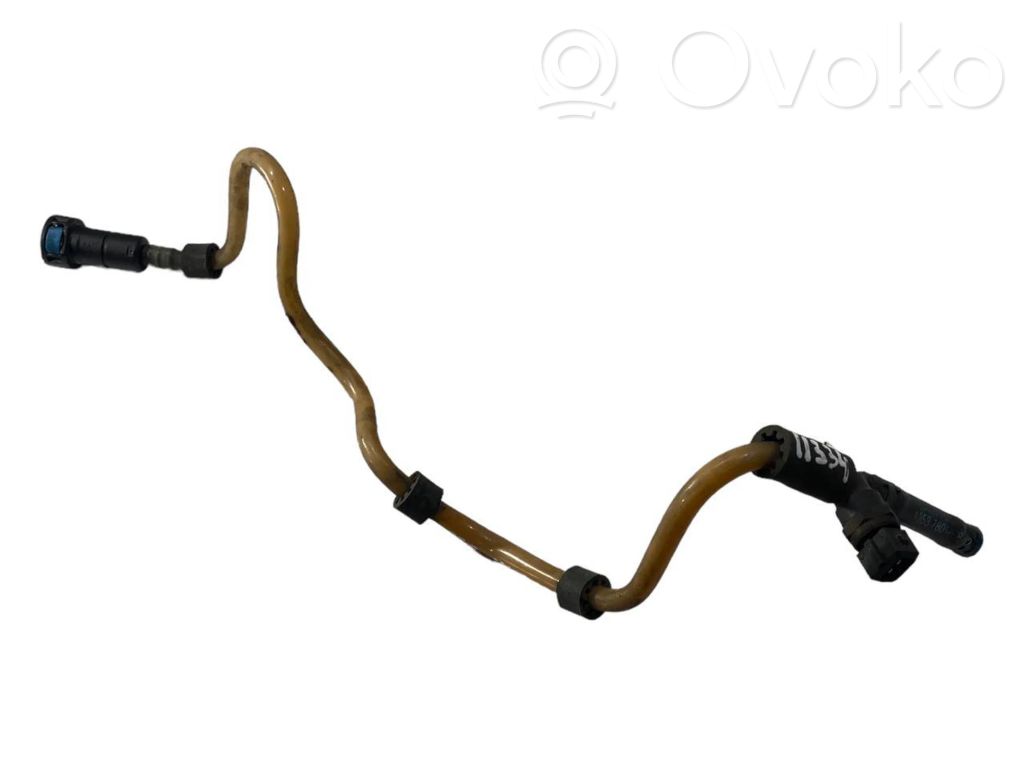 Caurule (-es) / šļūtene (-es)