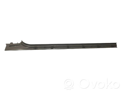 Front sill trim (inner)