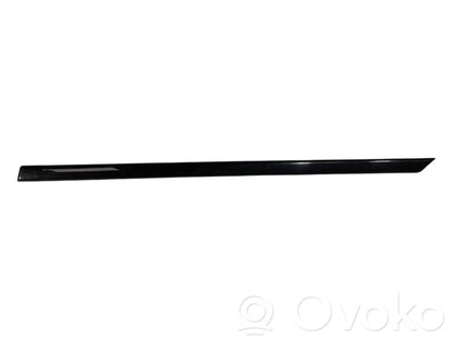 Aizmugurē durvju dekoratīvā apdare (moldings)
