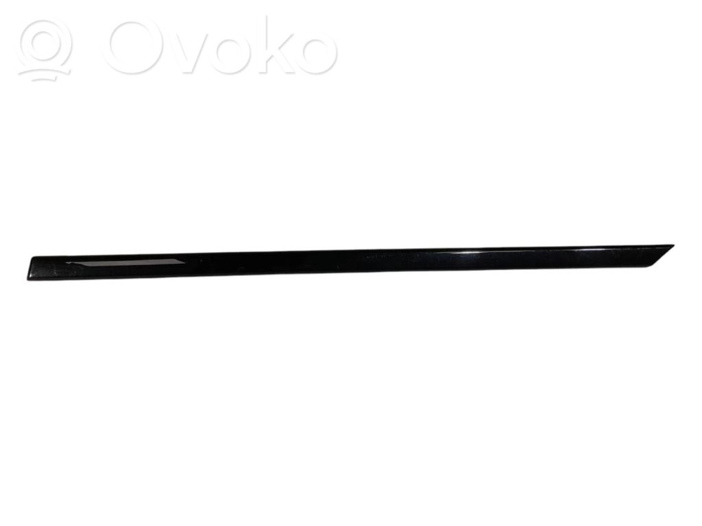 Aizmugurē durvju dekoratīvā apdare (moldings)