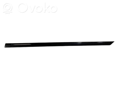 Aizmugurē durvju dekoratīvā apdare (moldings)