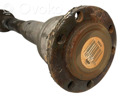 Aizmugurējā pusass