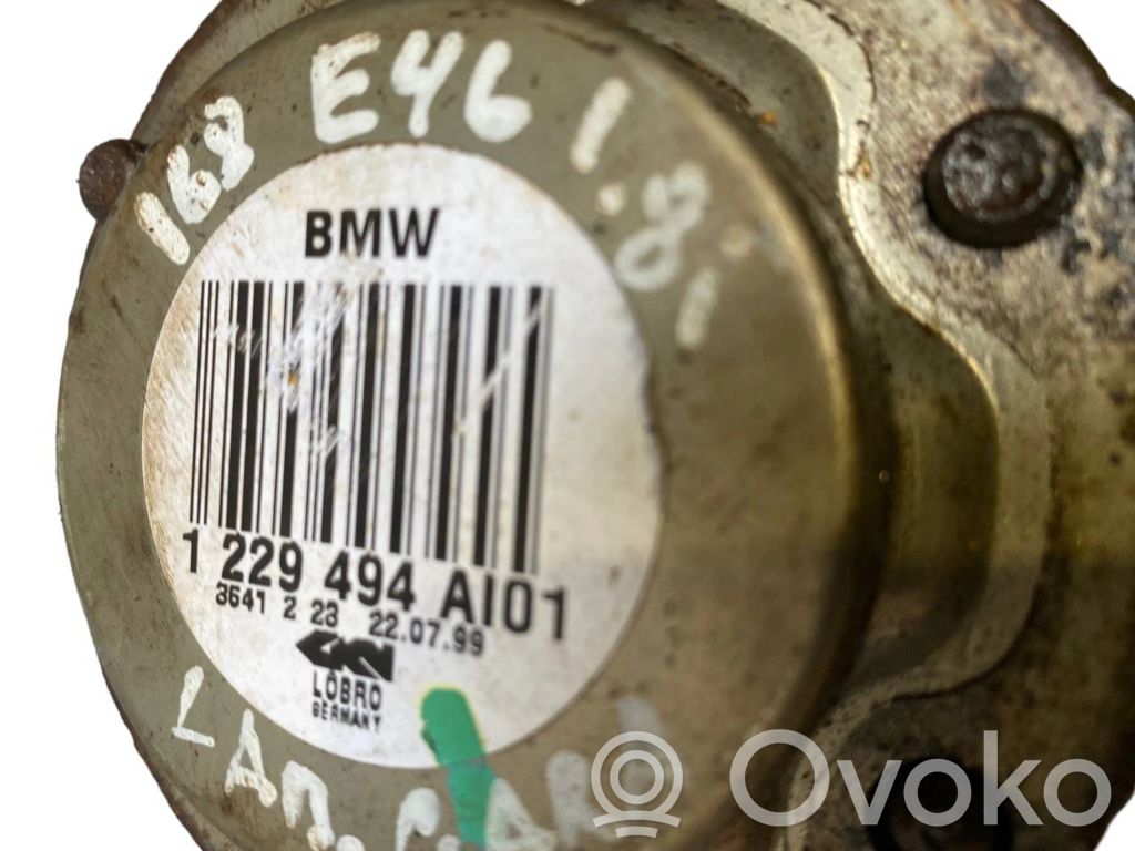 Aizmugurējā pusass