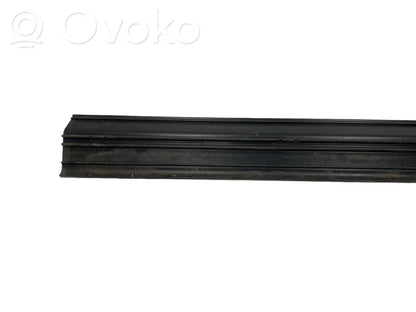 Front sill trim (inner)