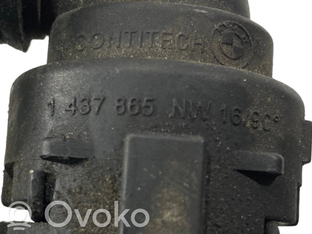 Caurulīte (-es) / šļūtene (-es)