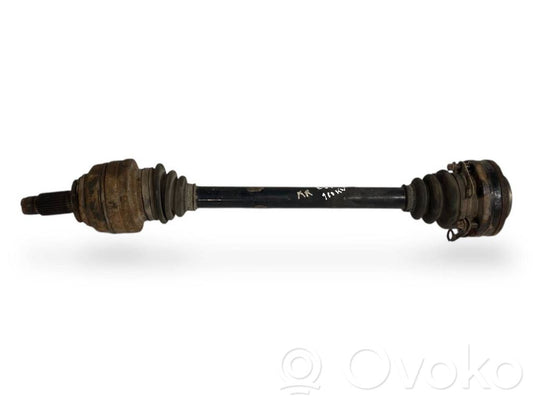 Aizmugurējā pusass