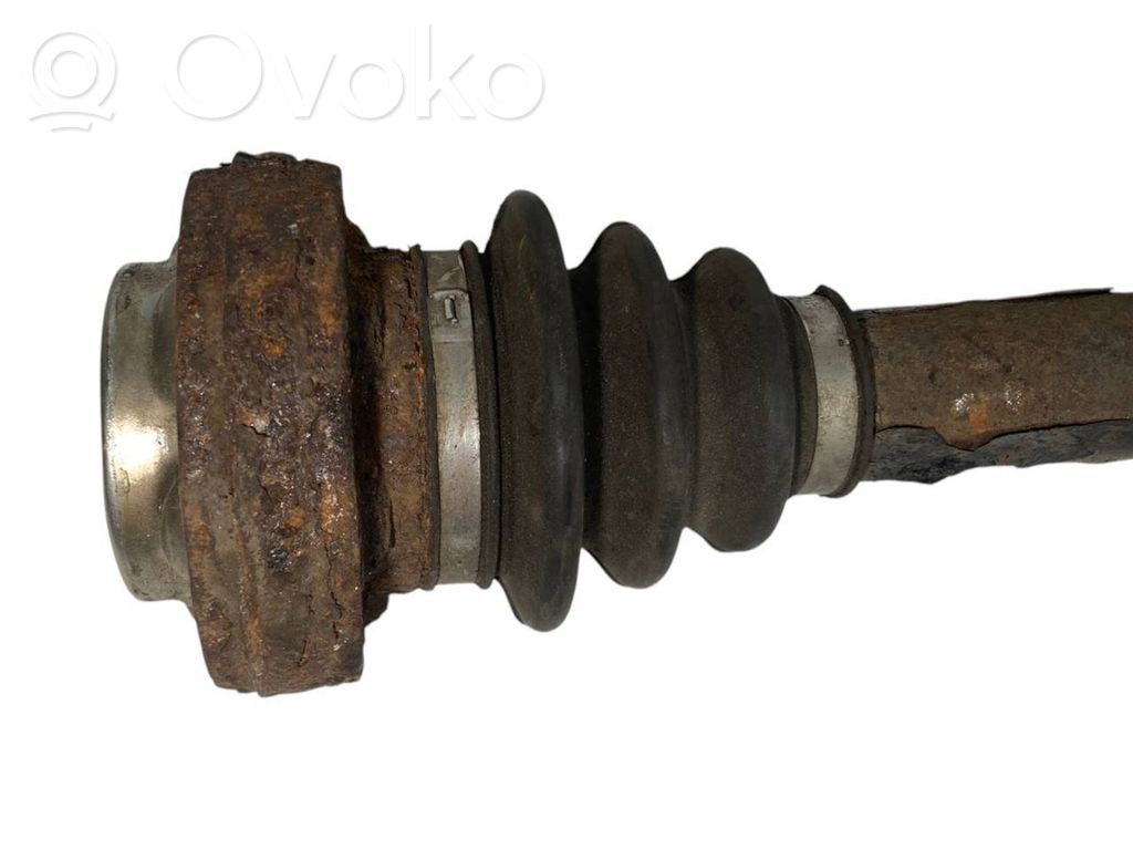 Aizmugurējā pusass