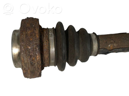 Aizmugurējā pusass