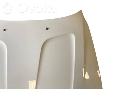 Dzinēja pārsegs (vāks)