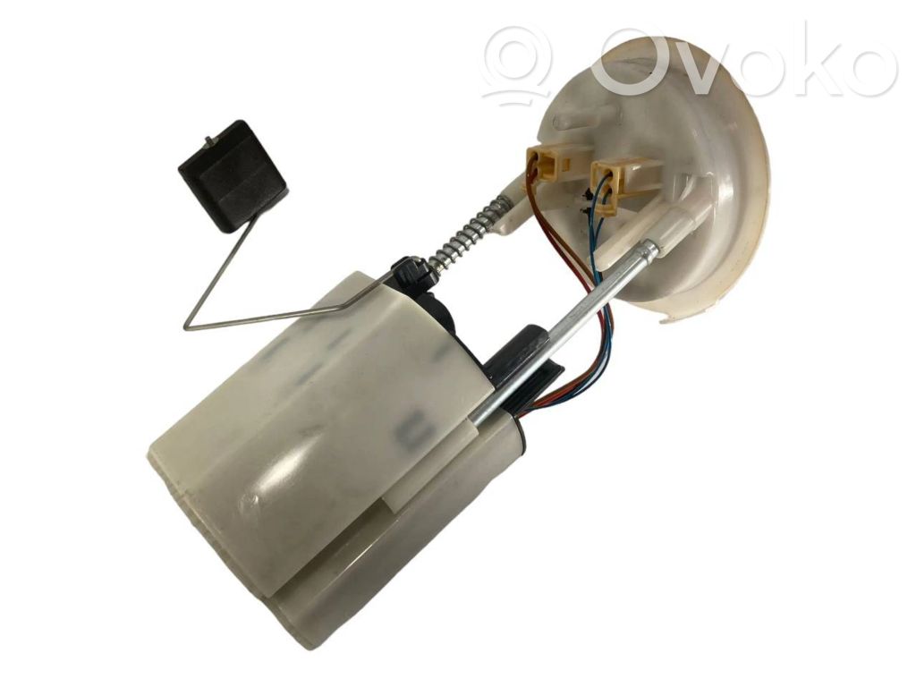 Fuel pump (in the fuel tank)