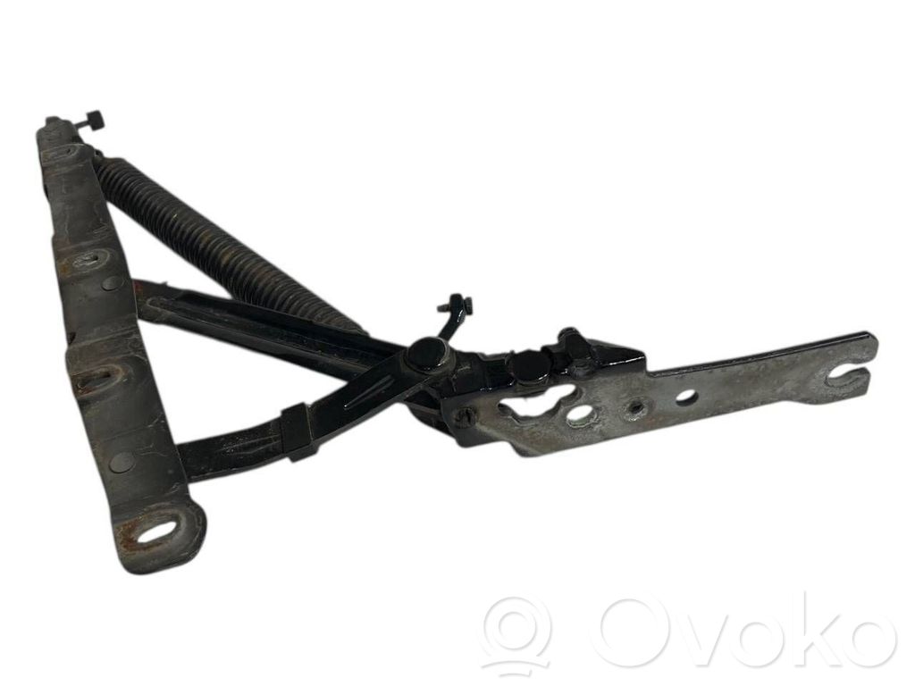 Aizmugurējā pārsega eņģe (-ess)