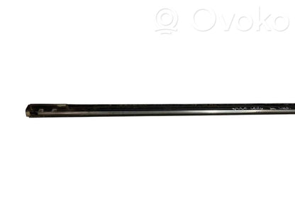 Aizmugurē durvju dekoratīvā apdare (moldings)