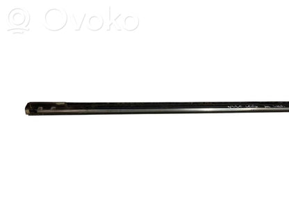 Aizmugurē durvju dekoratīvā apdare (moldings)