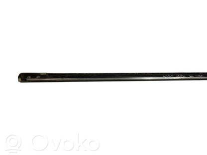 Aizmugurē durvju dekoratīvā apdare (moldings)