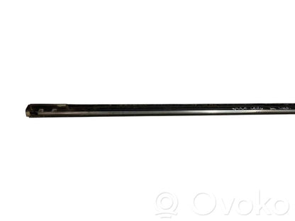 Aizmugurē durvju dekoratīvā apdare (moldings)