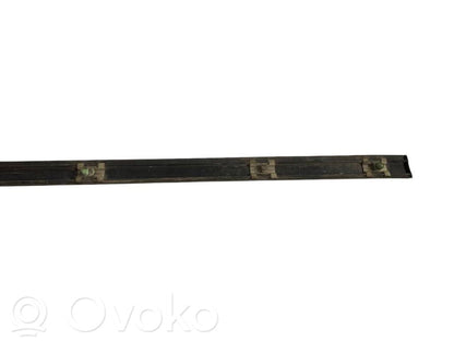 Front door decorative trim (molding)
