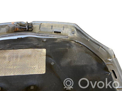 Dzinēja pārsegs (vāks)