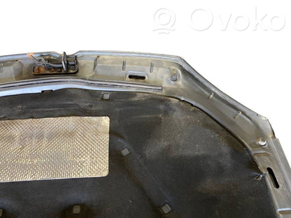 Dzinēja pārsegs (vāks)