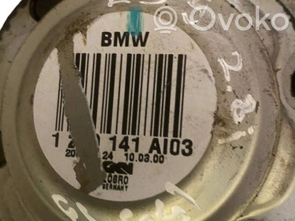 Aizmugurējā pusass