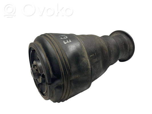 Aizmugurē gaisa spilvens