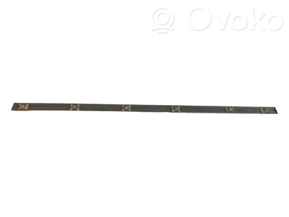 Priekšpusē durvju dekoratīvā apdare (moldings)