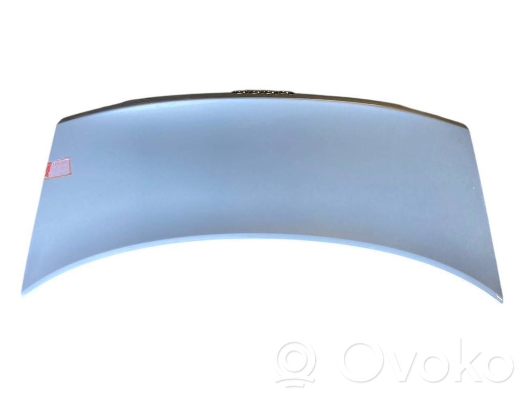 Aizmugurējais pārsegs (bagāžnieks)