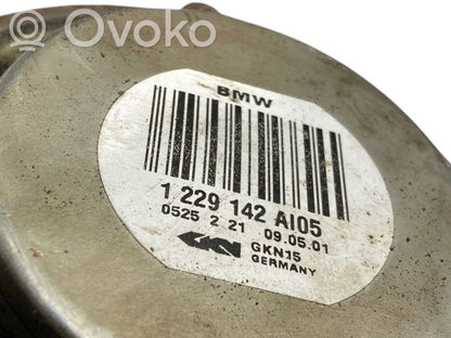 Aizmugurējā pusass