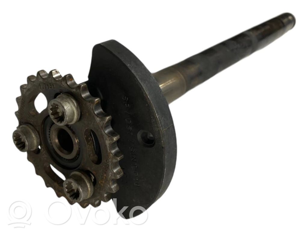 Engine chain balancer