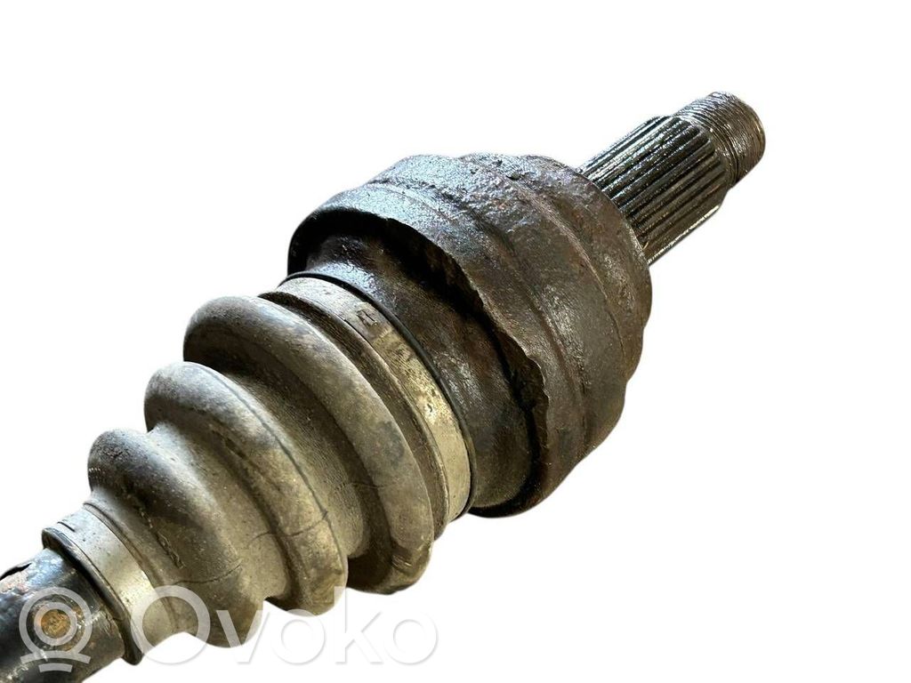 Aizmugurējā pusass