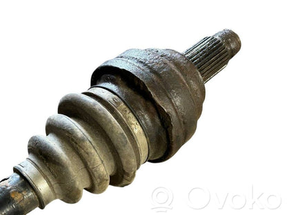 Aizmugurējā pusass