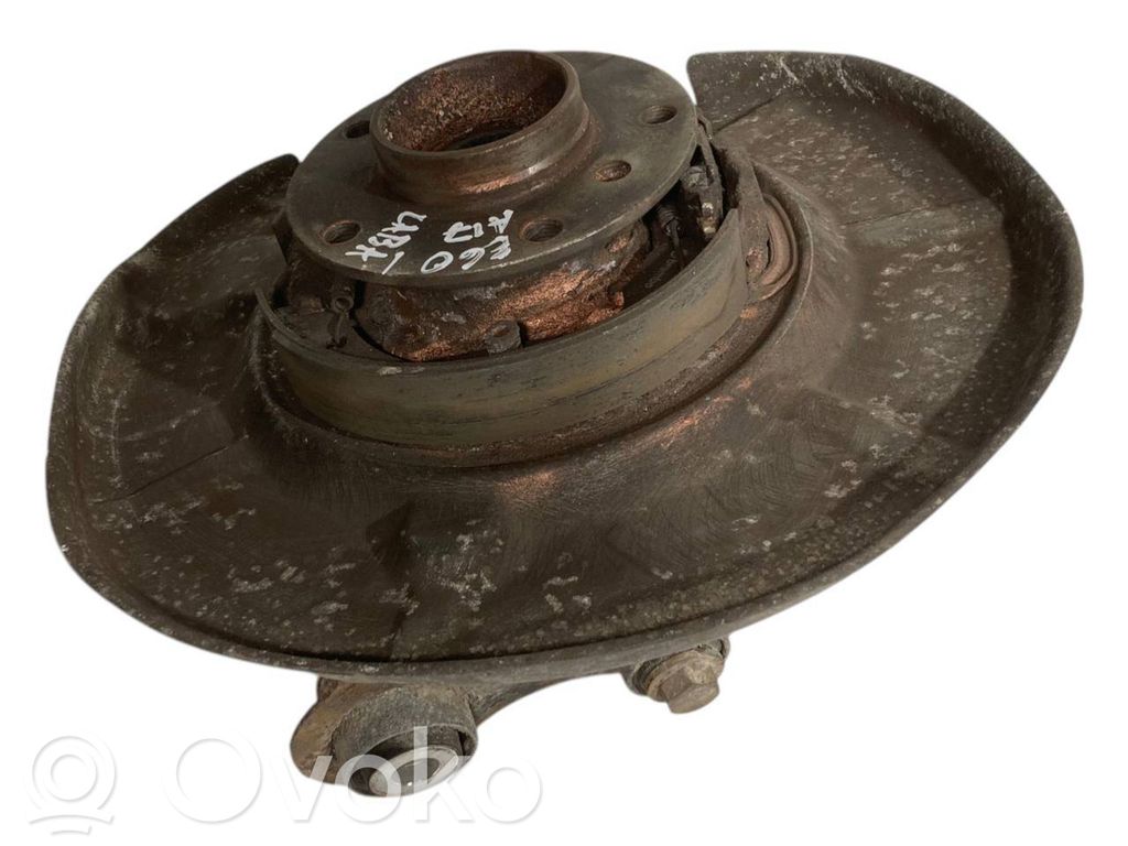 Rear wheel hub shaft joint (stupica, capfa)