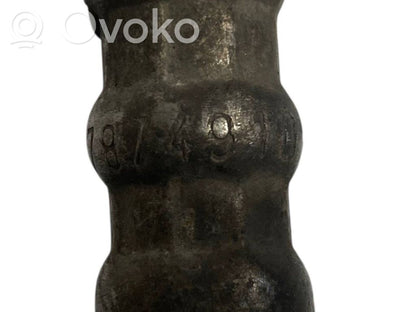 Caurule (-es) / šļūtene (-es)