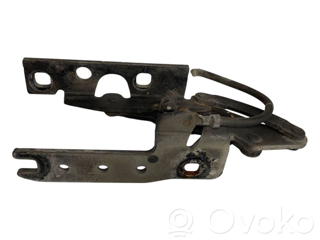 Dzinēja pārsega eņģe (-es)