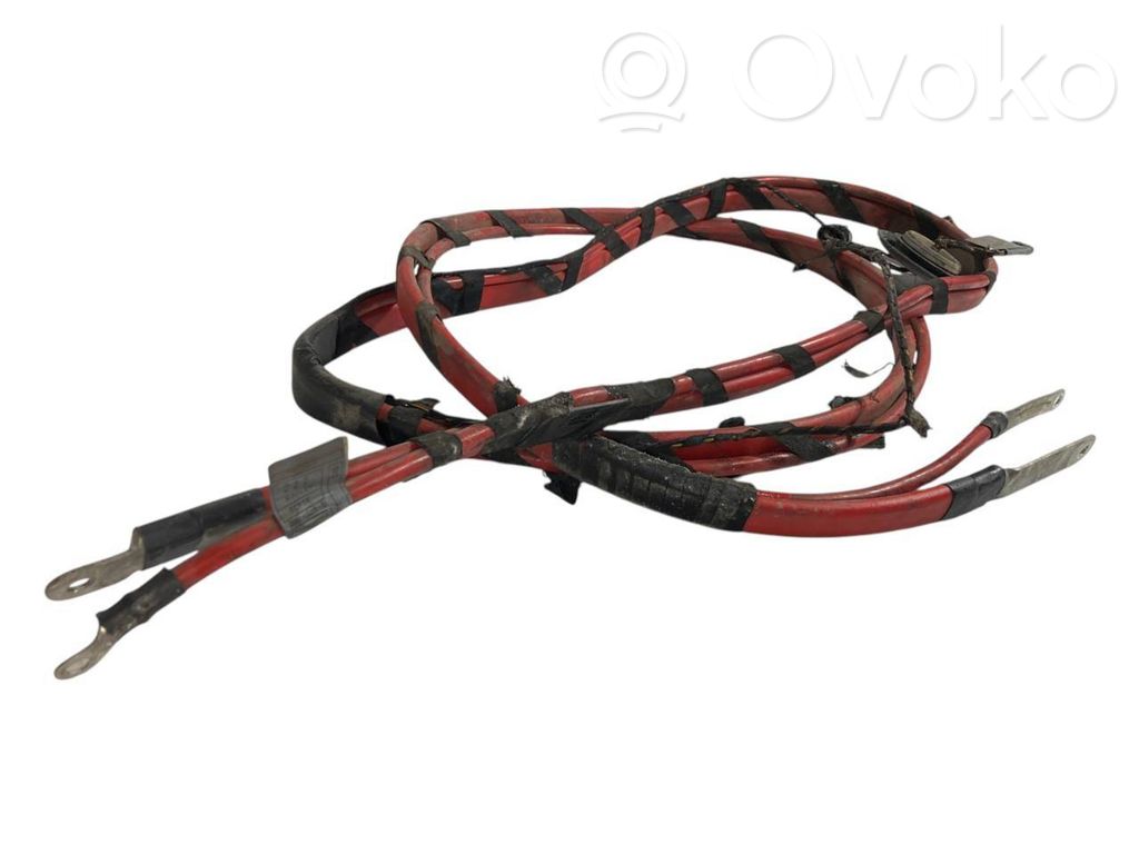 Plusa vads (akumulatora)