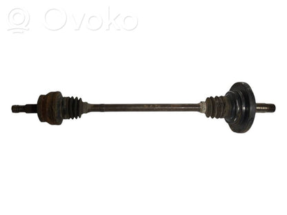 Aizmugurējā pusass