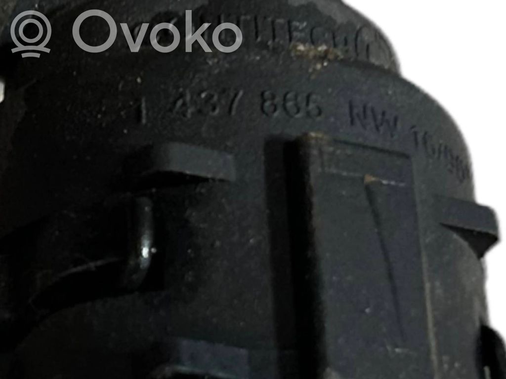 Caurulīte (-es) / šļūtene (-es)