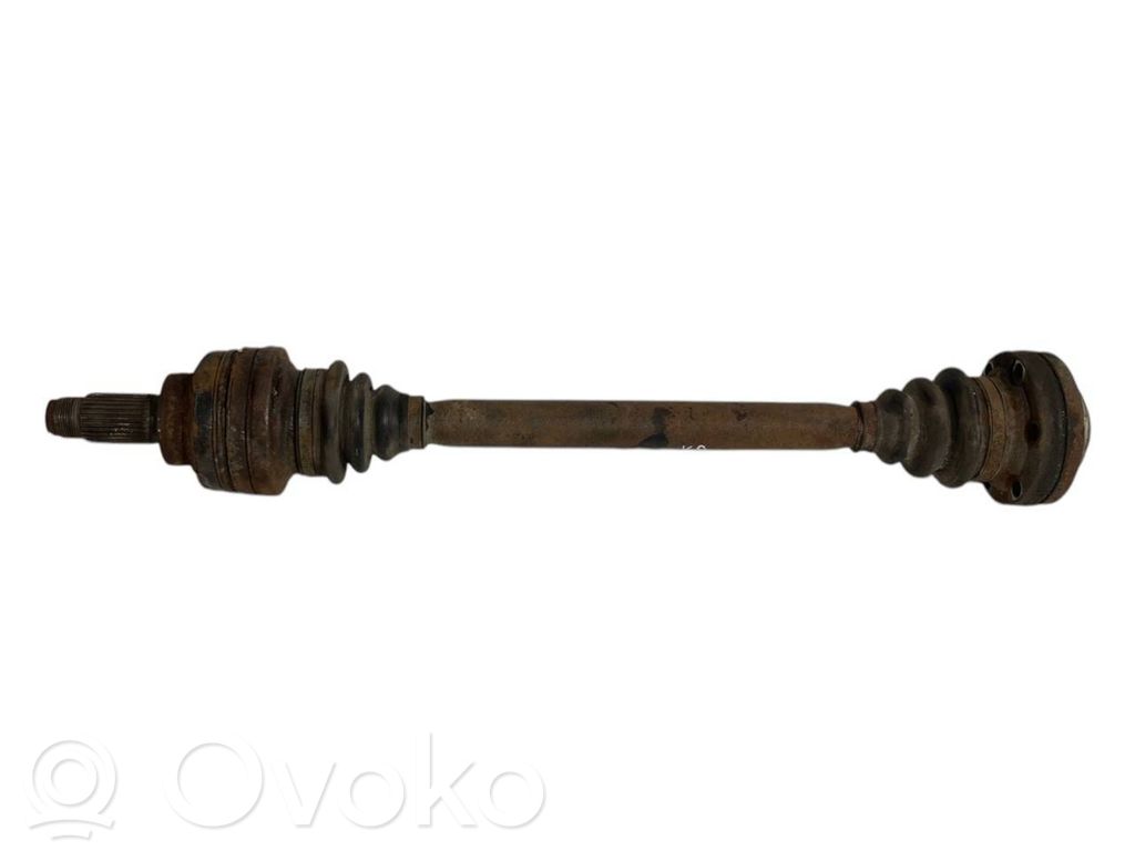 Aizmugurējā pusass