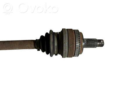 Aizmugurējā pusass