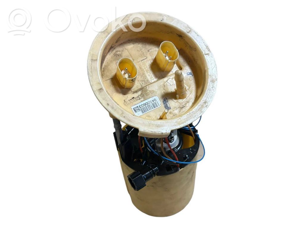Fuel pump (in the fuel tank)