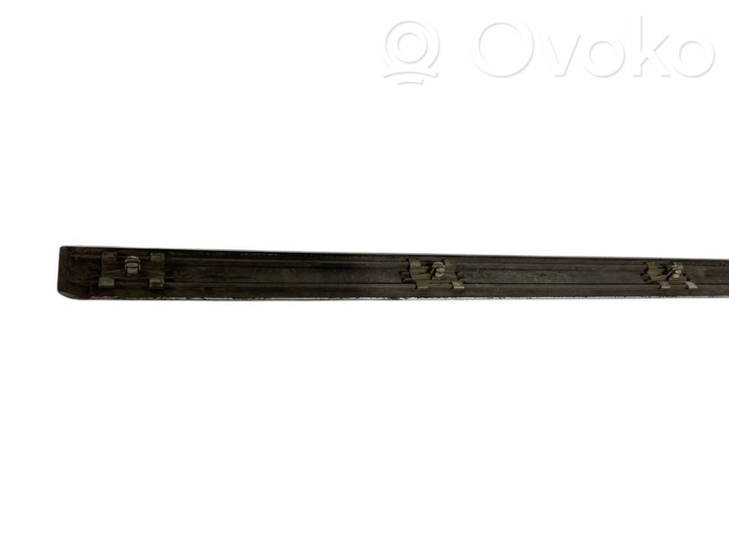 Front door decorative trim (molding)