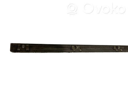 Front door decorative trim (molding)