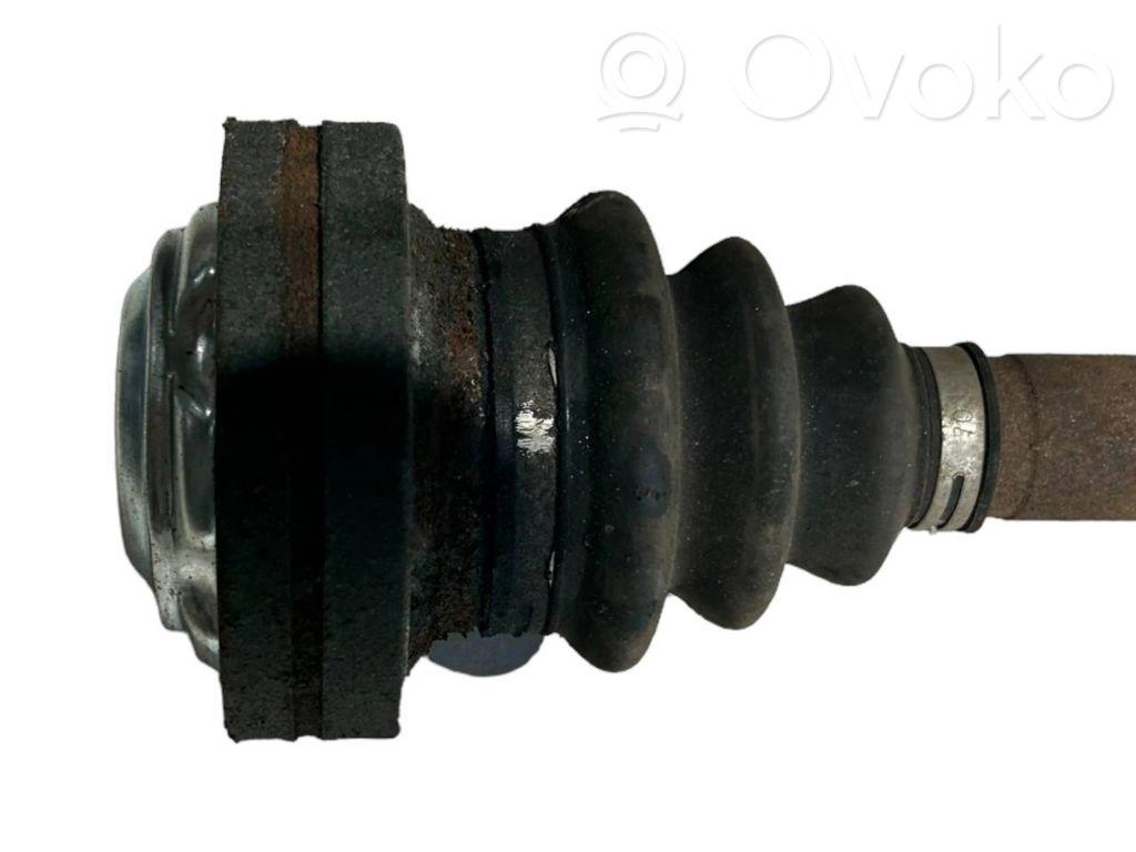 Aizmugurējā pusass