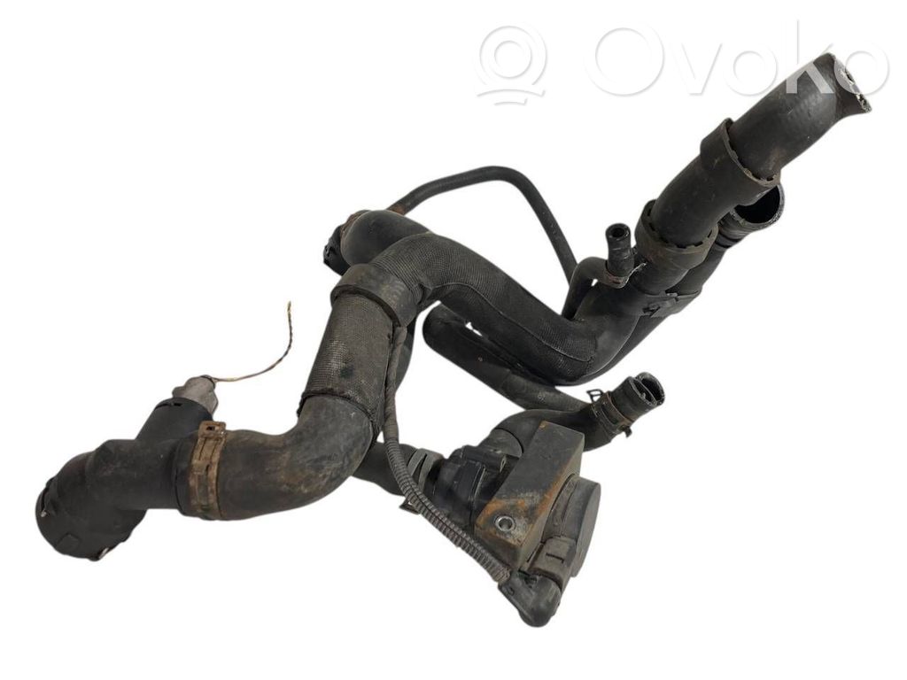 Caurulīte (-es) / šļūtene (-es)