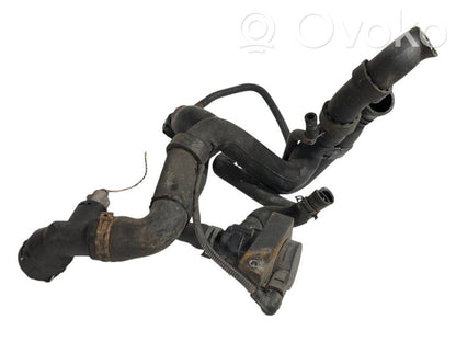 Caurulīte (-es) / šļūtene (-es)