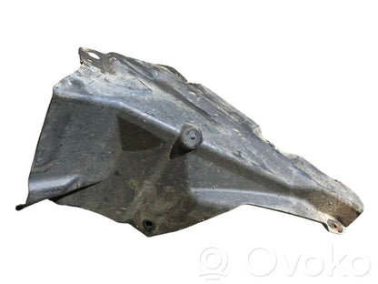 Under engine guard (front)