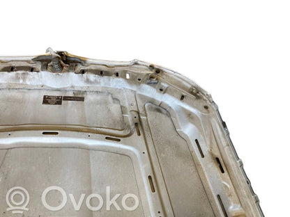 Dzinēja pārsegs (vāks)